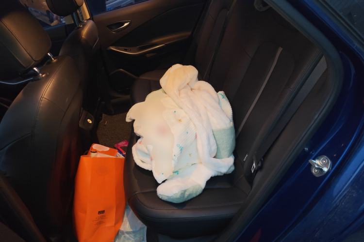 Used Hyundai Lafesta 2019 280TGDi Sport Edition China VI
