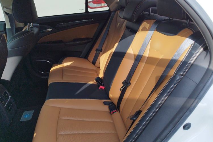 Used BYD Qin New Energy 2017 1.5T Luxury Model