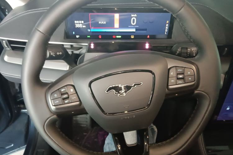 Used Ford Mustang Mach-E 2021 Leap Edition Rear-Drive Version (Standard Range)