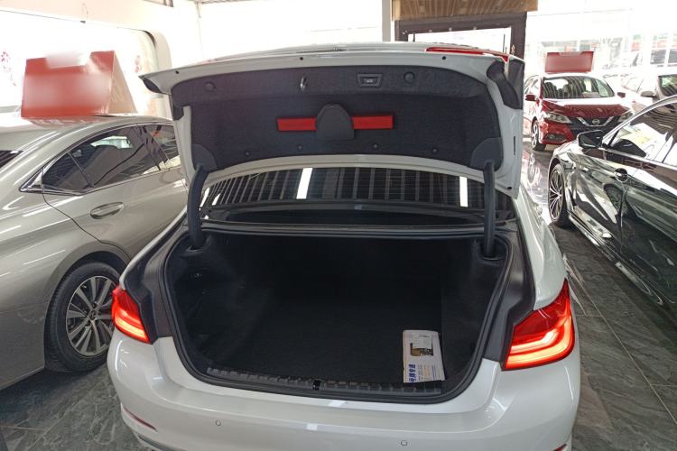 Used BMW 5 Series 2019 530Li Leading Model Luxury Package