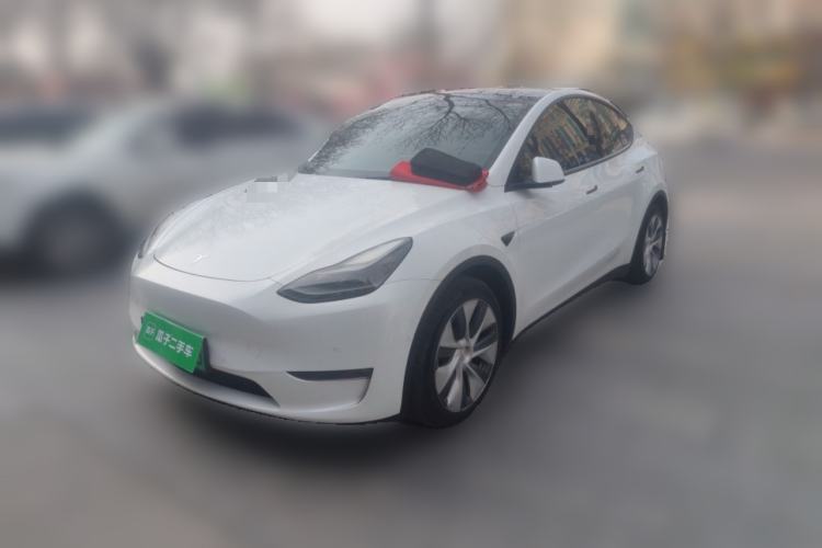 Used Tesla Model Y 2021 Standard Range Rear-Wheel Drive Version