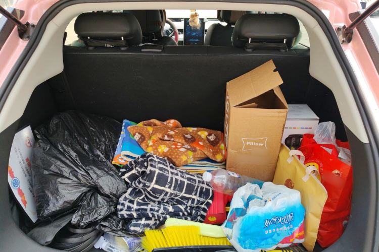 Used NETA V 2021 Witch Edition Trunk