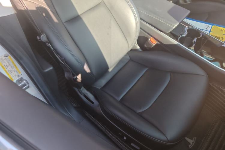 Used Tesla Model 3 (Import) 2019 Standard Range Rear-Wheel Drive Upgraded Version (60 kWh)