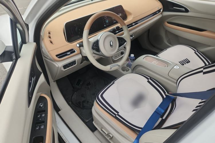 Used ORA Good Cat 2024 401 km Luxury Version