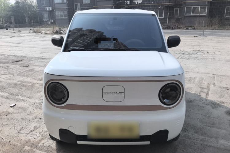 Used Geely Galaxy Panda 2024 Panda Mini 200km Endurance Bear
