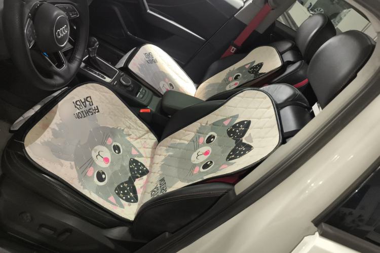 Used Audi Q2L 2020 35 TFSI Fashion Dynamic Model
