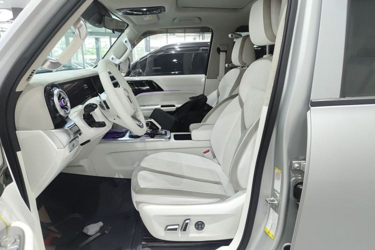 Used Cyberspace Tank 300 2021 2.0T Cyber Tank
