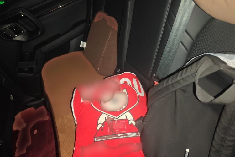 Used Haval H Dog 2023 1.5T Two-Wheel Drive Chao Ye Version Plus Interior 4