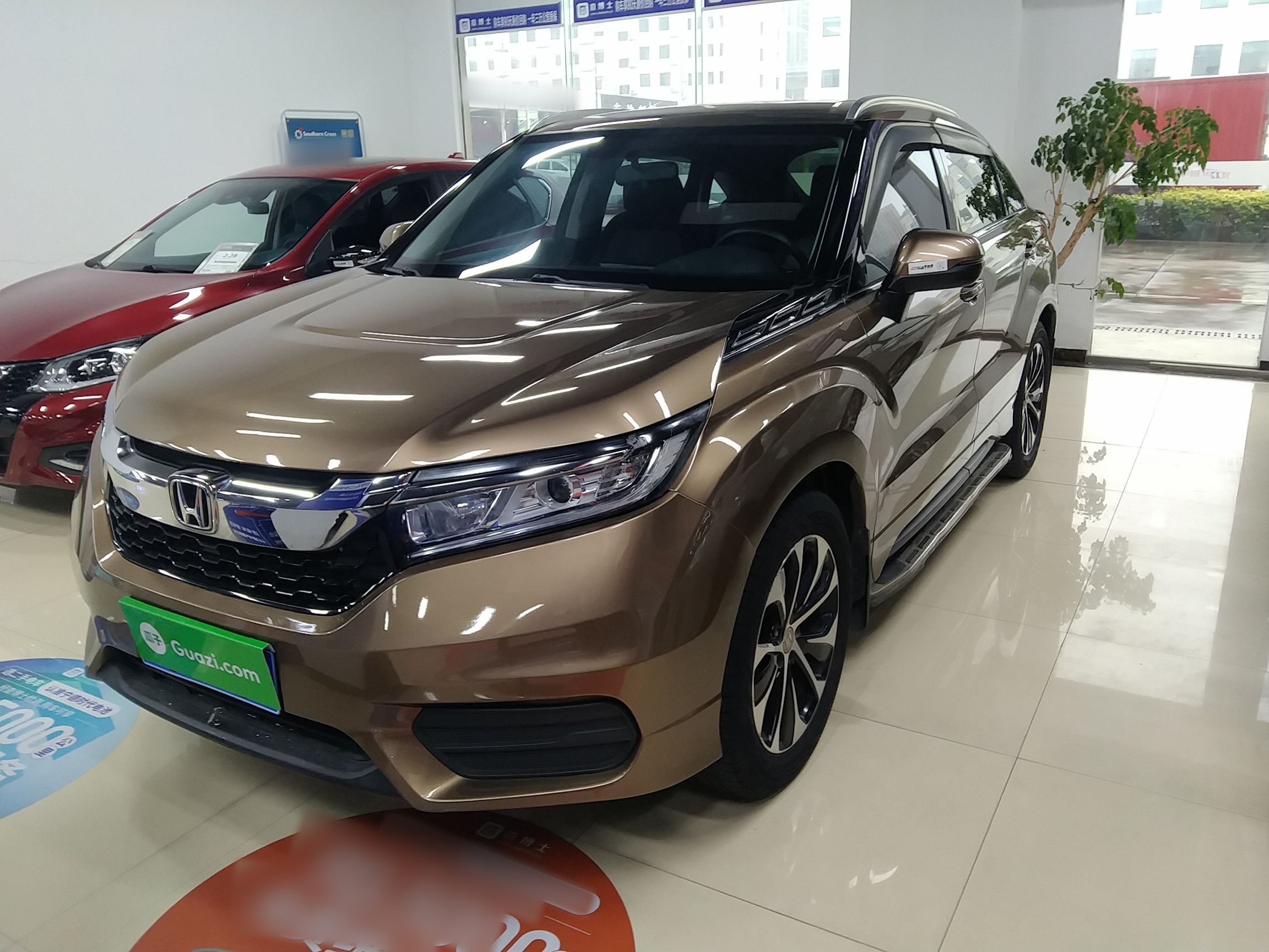 Parte inferior delantera