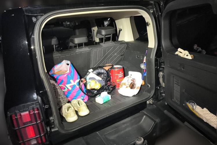 Used Tank 300 2022 2.0T Tank Ranger