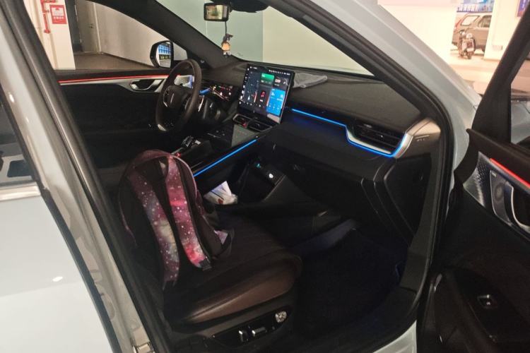 Used Wey Mocha 2021 2.0T Four-Wheel Drive Premium Edition
