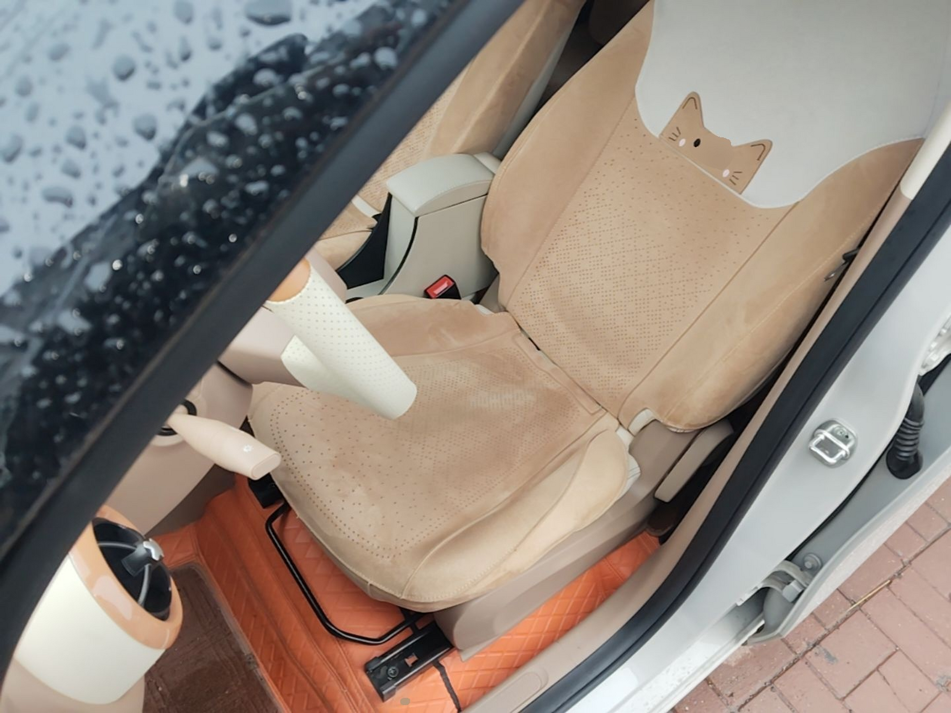 Interior delantero