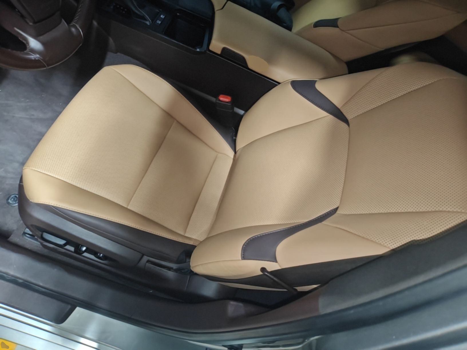 Interior delantero