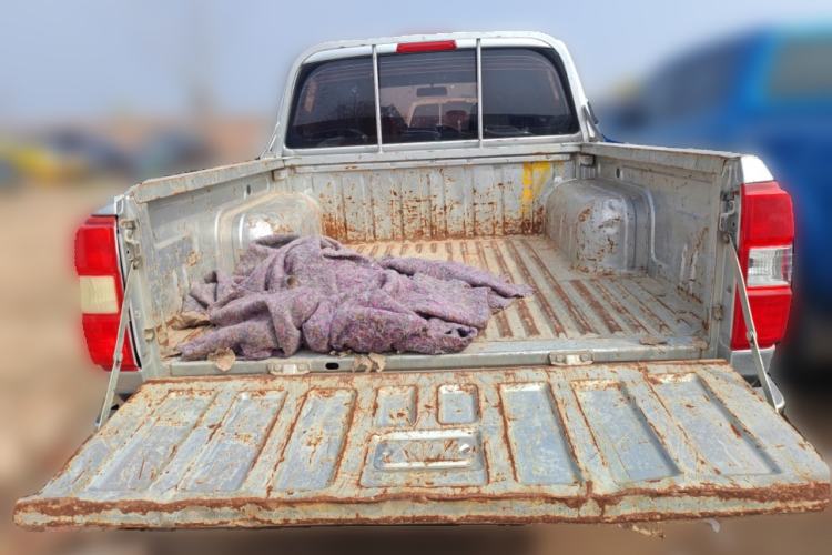 Used Dongfeng Ruichi 2019 2.4L Gasoline China VI Standard Two-Wheel-Drive Standard Cab 2TZD Trunk