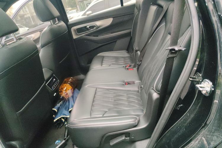 Used GAC Trumpchi GS8 2024 Linghang Series 2.0 TGDI Two-Wheel Drive Luxury Smart Connectivity Version