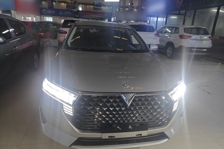 Used Venucia D60 2021 PLUS 1.6L XL CVT Yue Ling Edition
