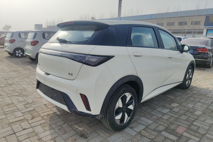 Used BYD Dolphin 2025 420km Free Edition