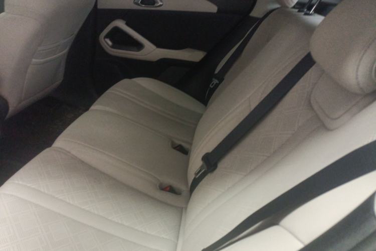 Used BYD Yuan UP 2024 301KM Leading Edition Left Rear Seat