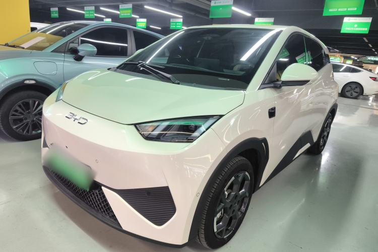 Used BYD Seagull 2025 Smart Drive Version 305 km Freedom Edition