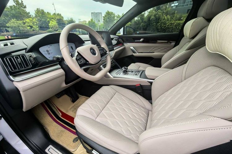 Used BYD Tang New Energy 2025 DM-i 115KM Prestige Model