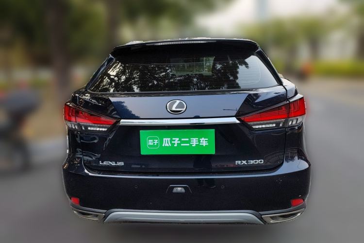 Used Lexus RX 2020 Revised Version 300 Two-Wheel Drive Elite Edition Rear