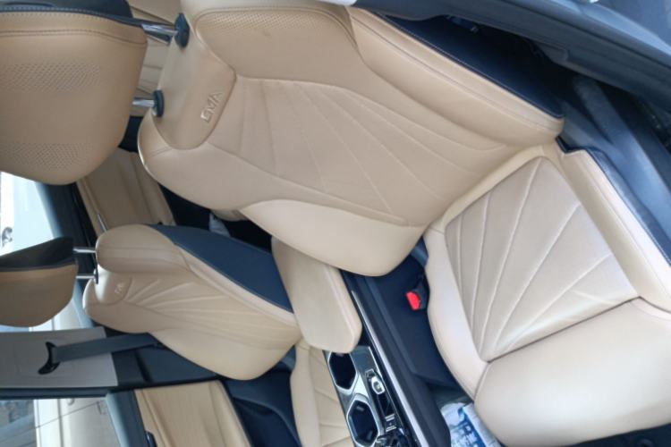 Used Geely Auto FX11 2023 2.0TD DCT Flagship Version Left Front Seat