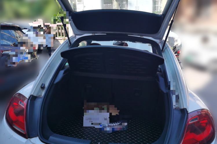 Used Volkswagen Beetle 2018 180TSI Shangle Model Trunk