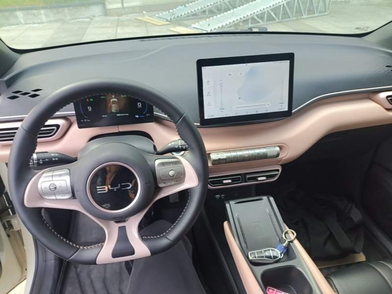 Used BYD Seagull 2025 405 km Flying Edition — 9