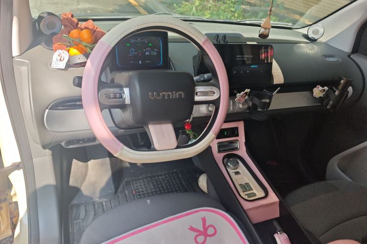 Used Qiyuan Lumin 2022 210km Sweet Edition