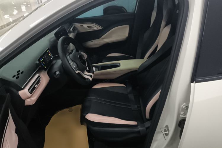 Used BYD Seagull 2023 Free Edition Left Front Seat