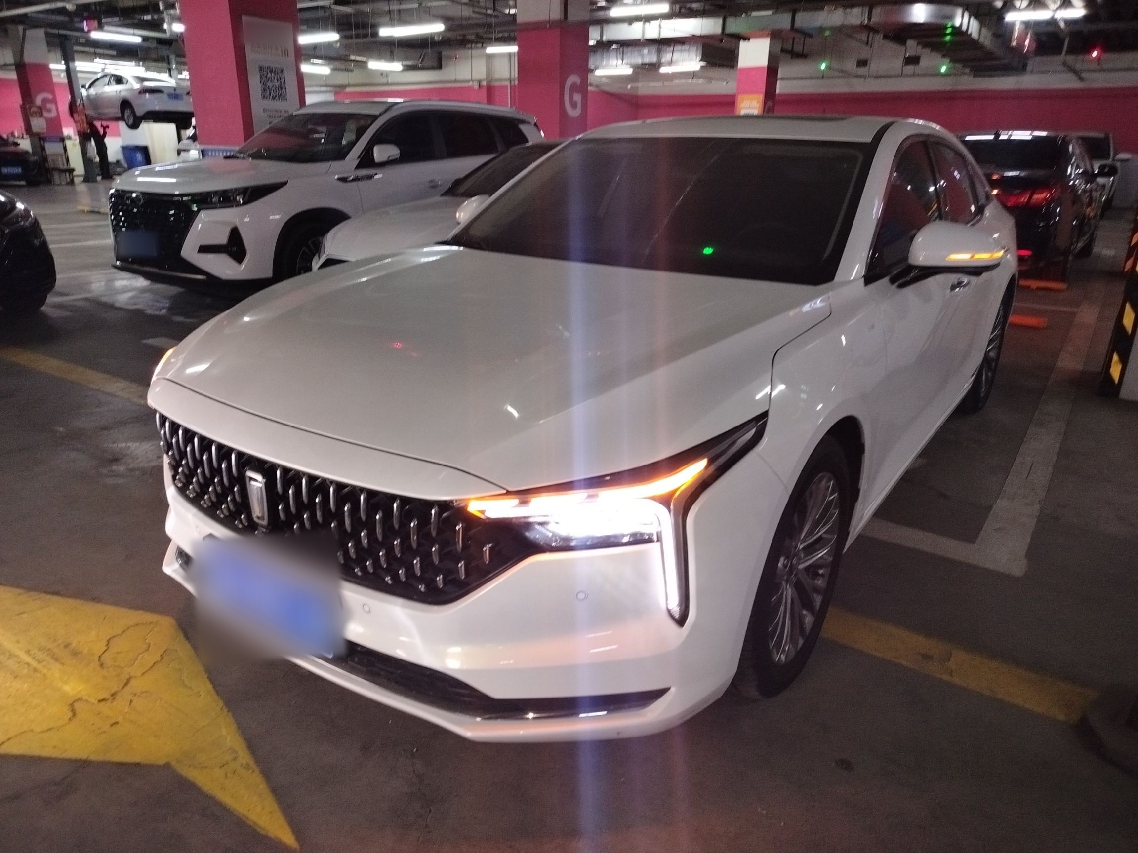 Parte inferior delantera