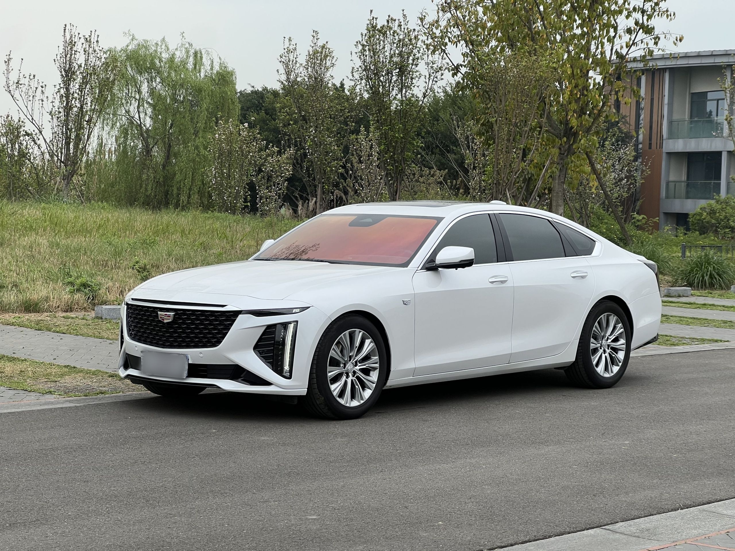 Parte inferior delantera