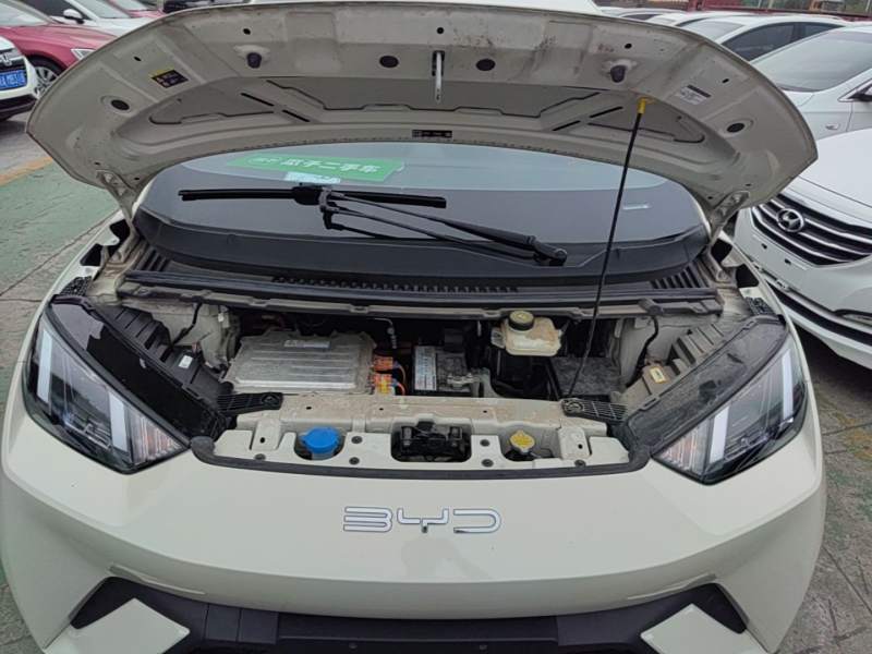 Used BYD Seagull 2023 Free Edition — 19