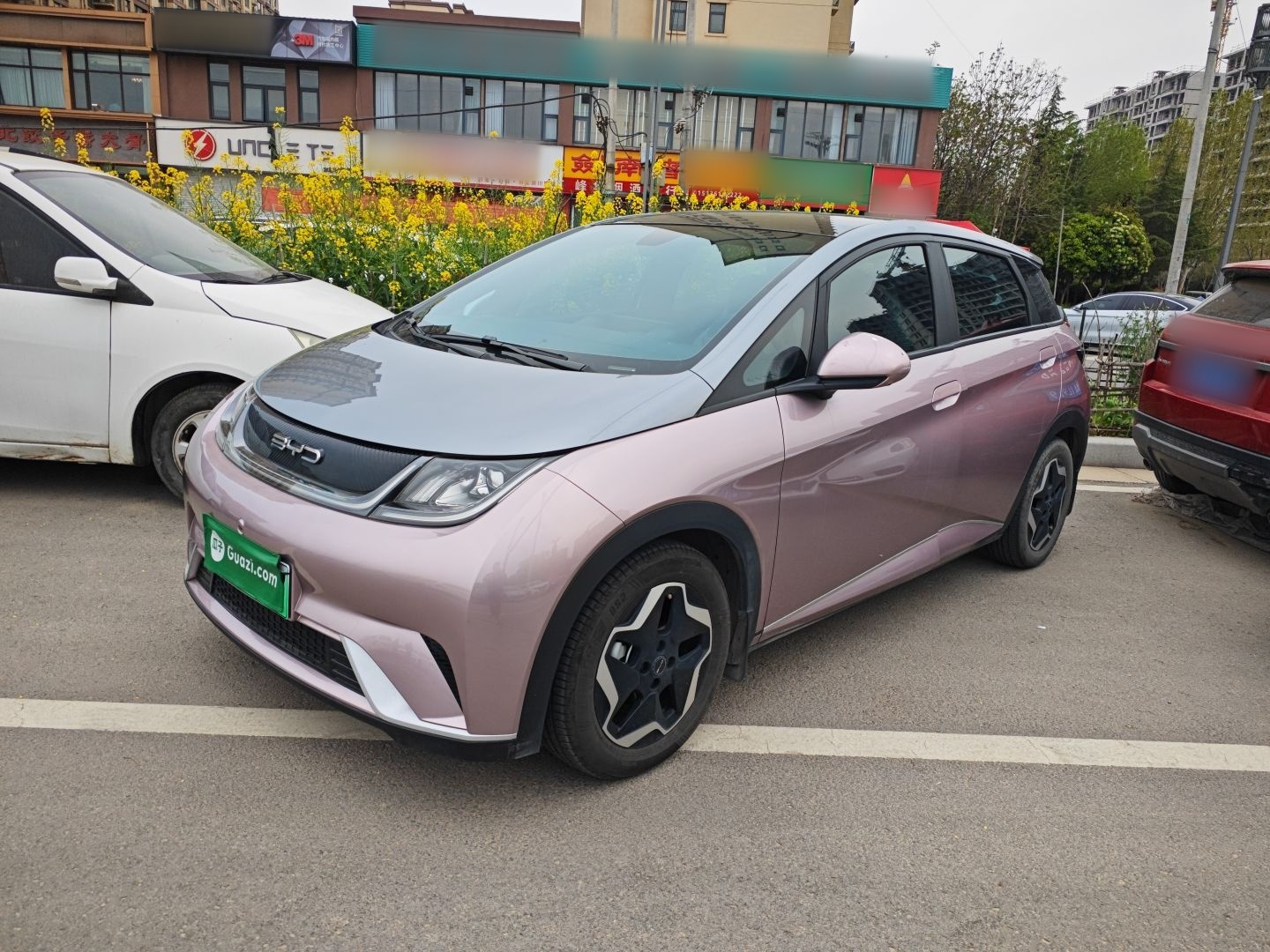 Parte inferior delantera