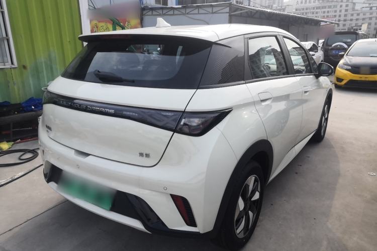 Used BYD Dolphin 2025 420km Free Edition Rear Right 45 Deg