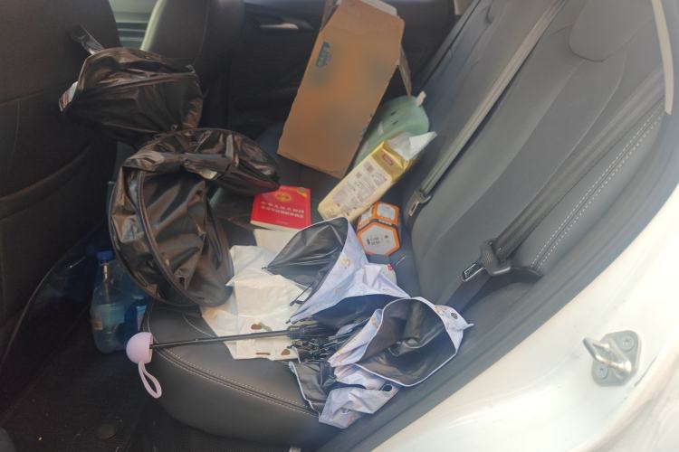 Used NETA V 2021 Long-Range Entertainment Edition Upgrade Model
