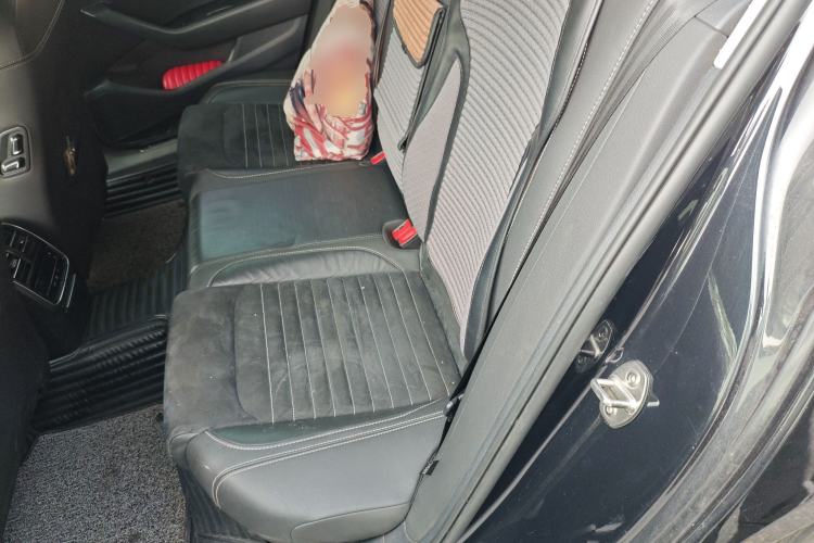 Used Volkswagen Magotan 2020 330TSI DSG Luxury Edition Left Rear Seat