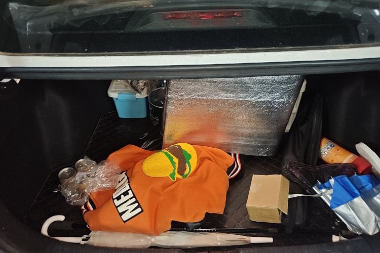 Used CHANGAN Eado 2020 PLUS Blue Whale NE 1.4T GDI DCT Flagship Model