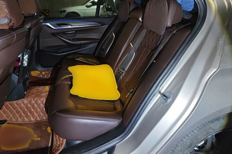 Used BMW 5 Series New Energy 2018 530Le Luxury Package