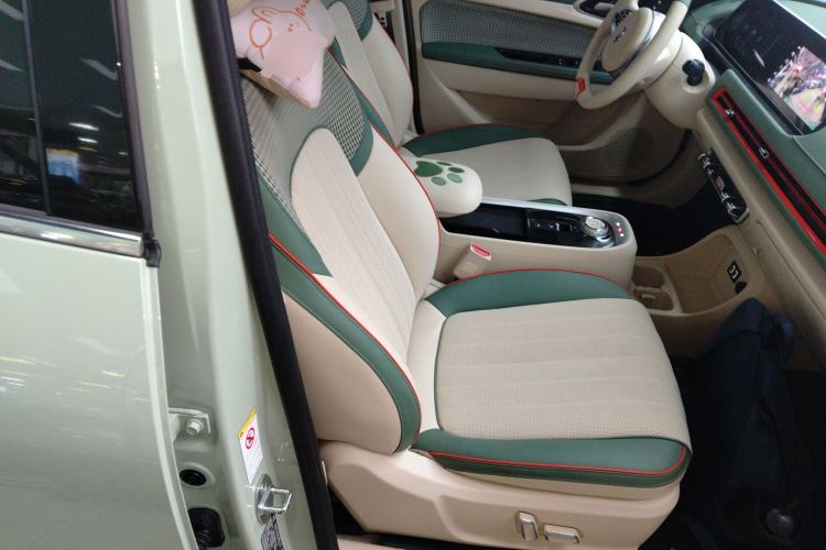 Used ORA Good Cat 2022 Morandi Edition 400km Standard Range Premium Version Lithium-Ion Battery Right Front Seat