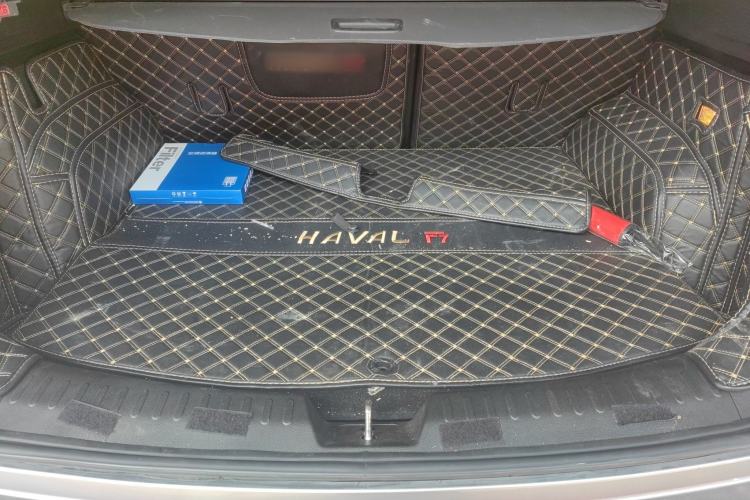 Used Haval F7 2020 2.0T Two-Wheel Drive i-Van
