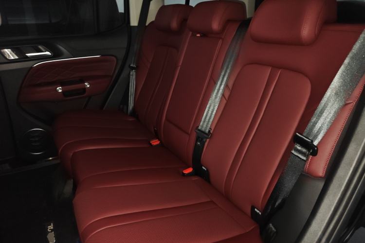 Used Tank 300 2024 2.0T Conqueror