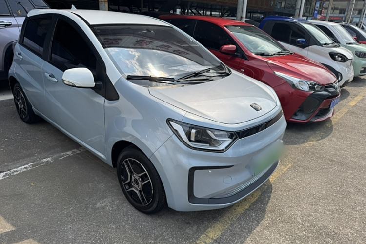 Used SOL E10X 2022 Flower Fairy Design Four-Leaf Clover