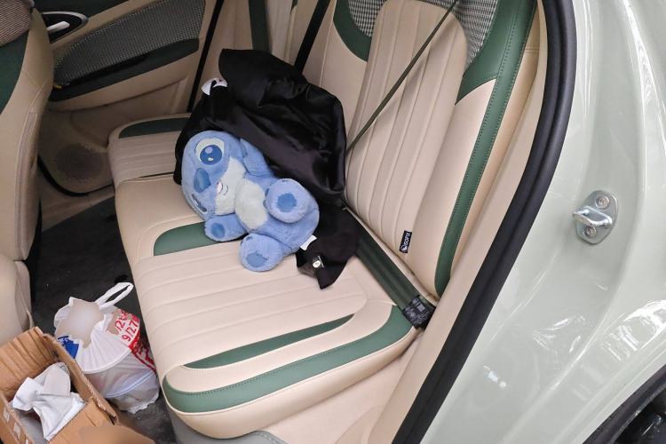 Used ORA Good Cat 2024 401 km Range Luxury Version 135 kW Left Rear Seat