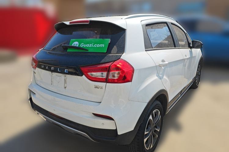 Used Livan Maple 30X 2020 Style Edition
