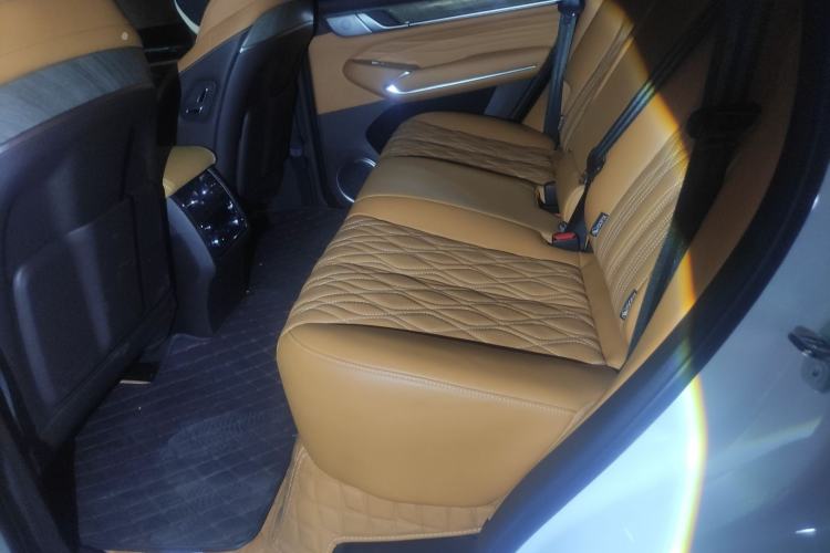 Used Tank 500 2022 3.0T Business Edition "Creation Realm" Design 5-Seater
