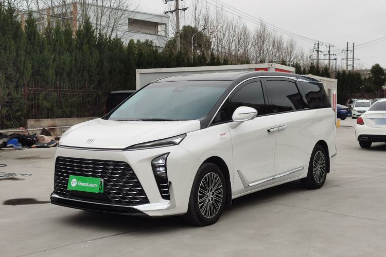 Used Buick GL8 New Energy 2024 Lu Zun Luxury Edition 7-Seater