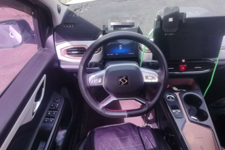 Used SOL E10X 2022 Flower Fairy Style Baby's Breath
