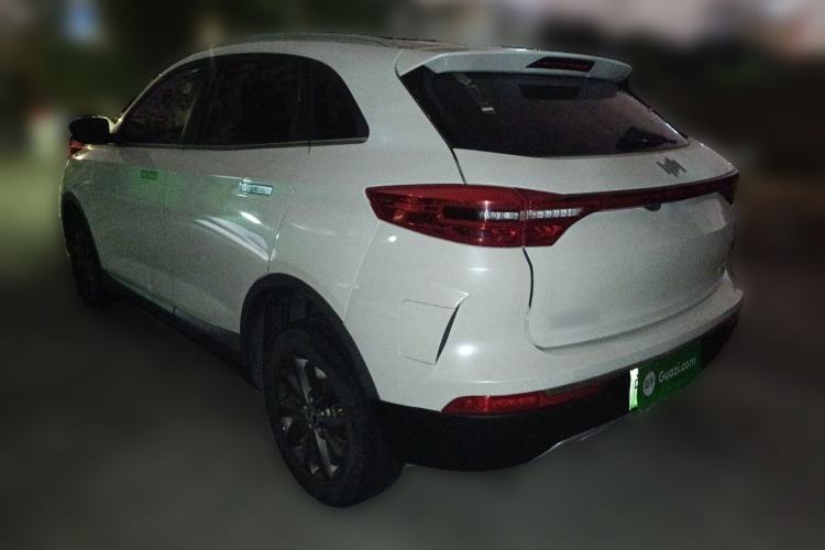 Used WM Motor EX5 2019 EX5 Mate Weymeng Edition 400
