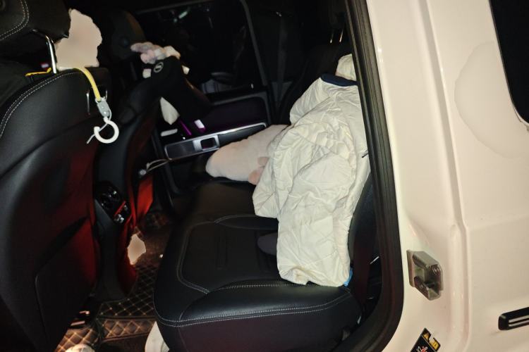 Used Mercedes-Benz G-Class 2023 G 350 Left Rear Seat